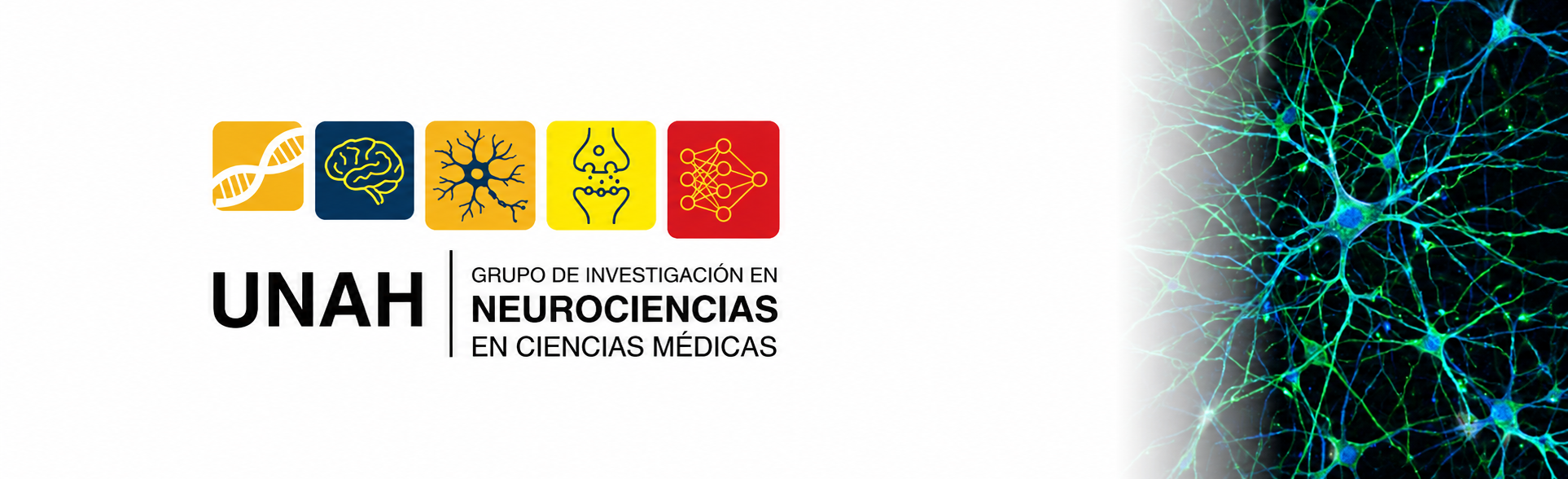 Banner Grupo de Investigación